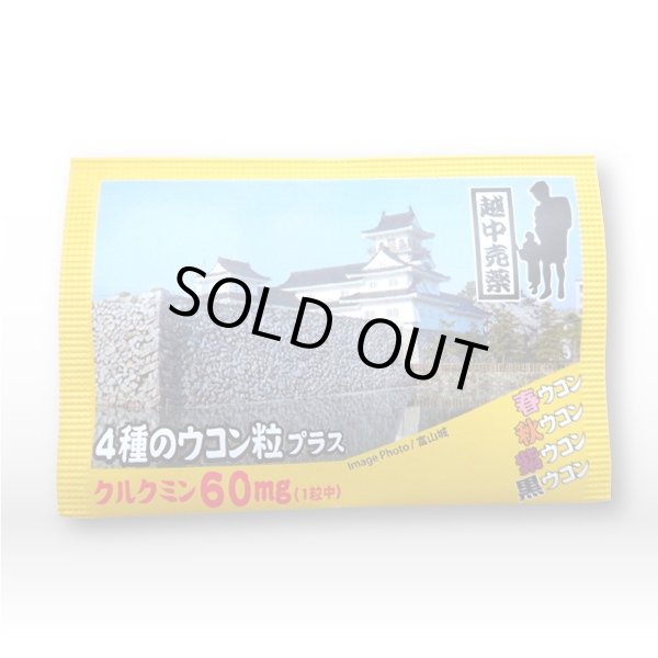 画像1: 富山観光名所袋物（ウコン）　〜富山城〜